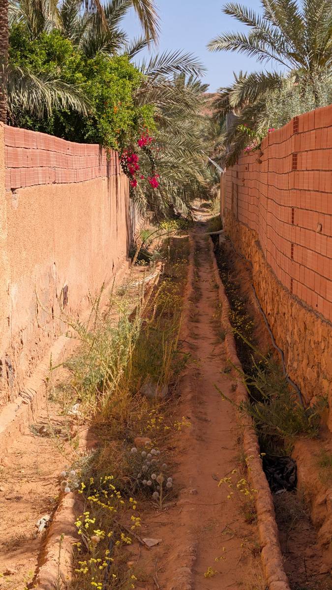Ghardaïa and the M