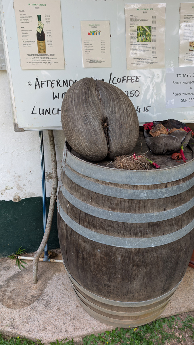 Seychelles: Island Tour, Coco de Mer "The world