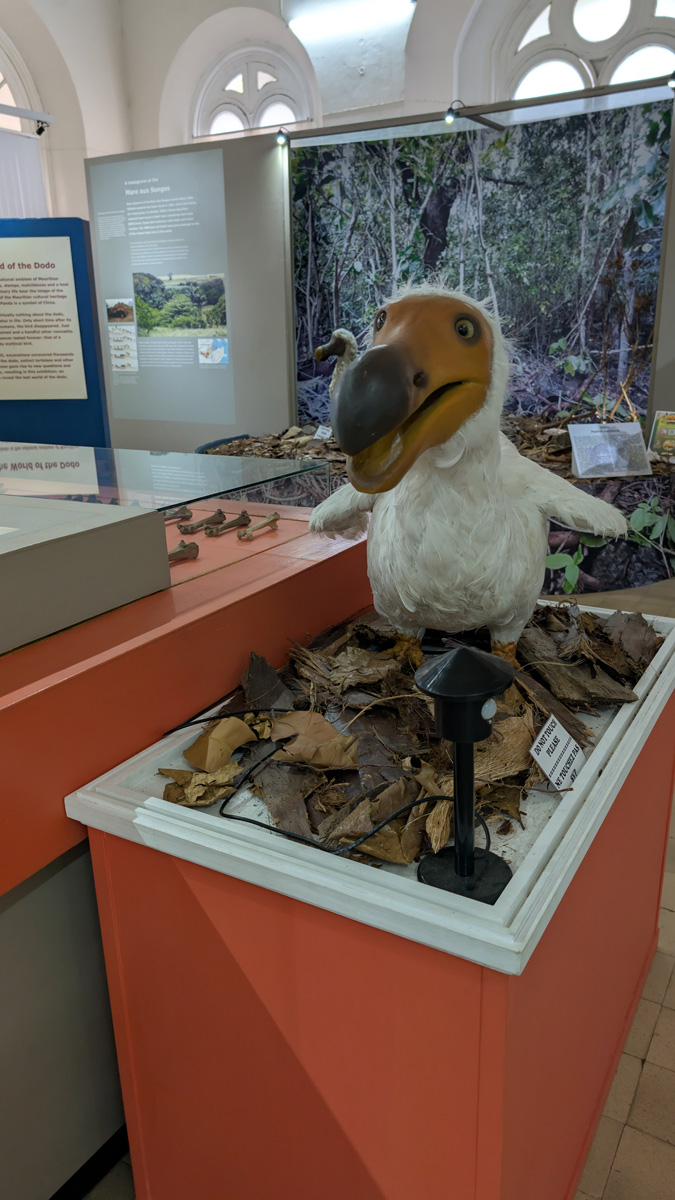 Mauritius: Dodos