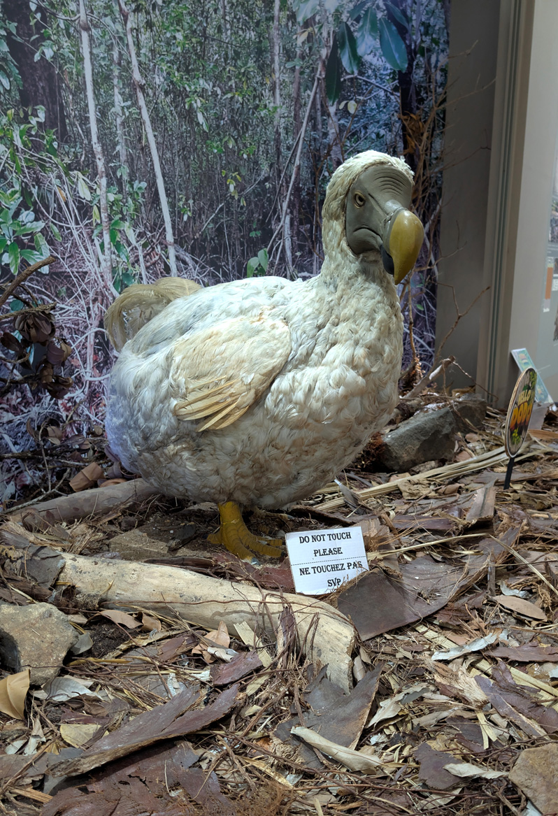 Mauritius: Dodos, Re-imagined dodo