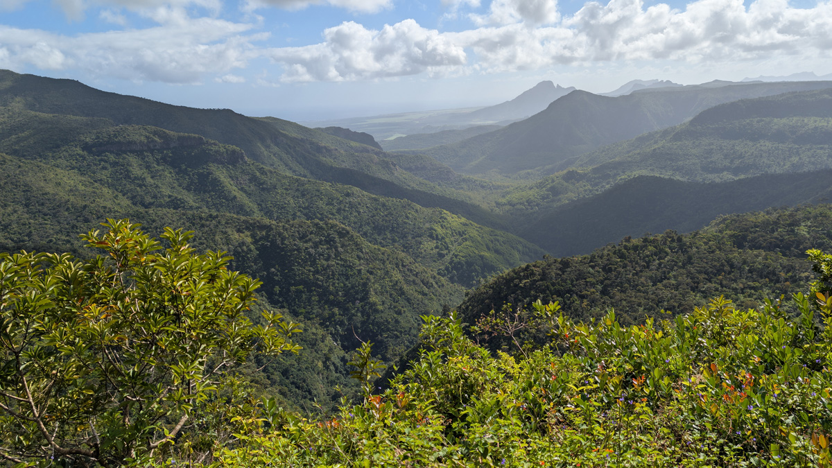 Mauritius: South-West Tour, Black River Gorges view