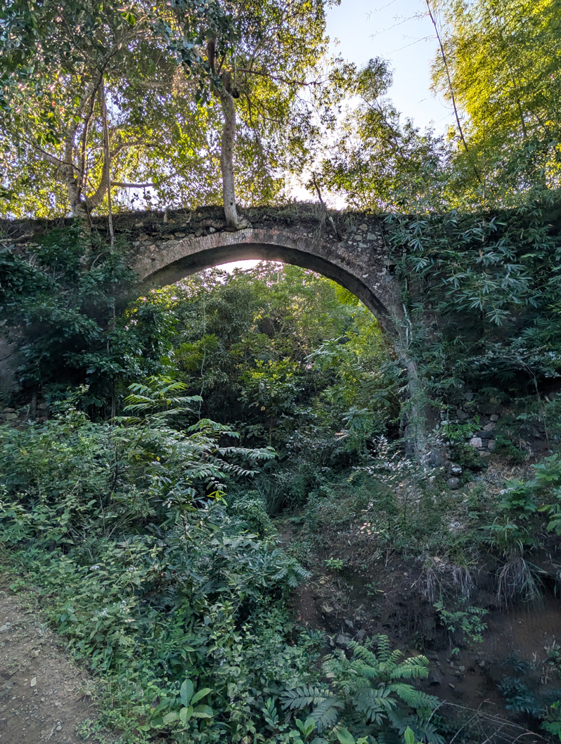 Bois Caiman, French-era foot bridge