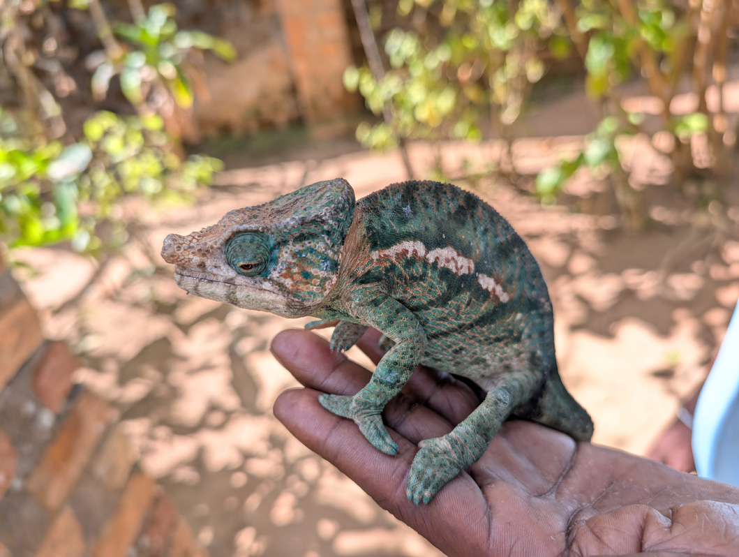 Peyrieras Exotic Animal Reserve