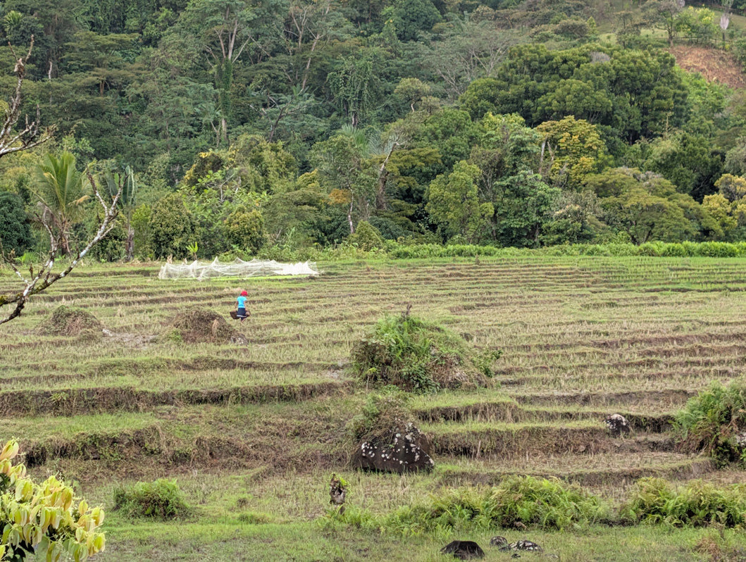 Masoala Lodge Walk