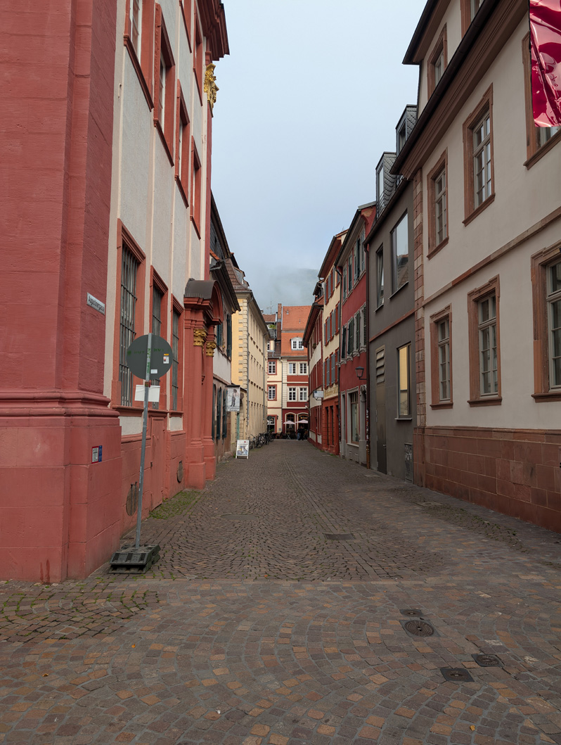 Heidelberg University