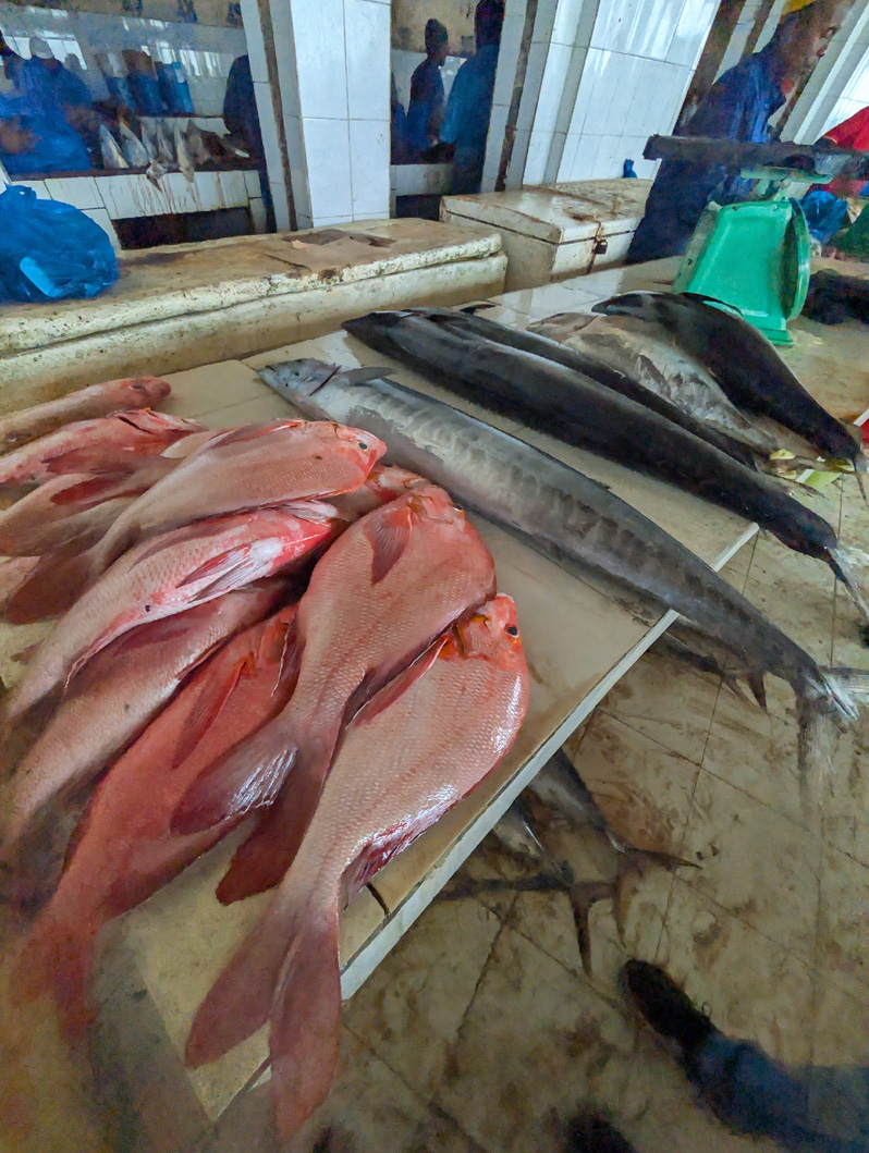 2025 Mogadishu, Fishmarket