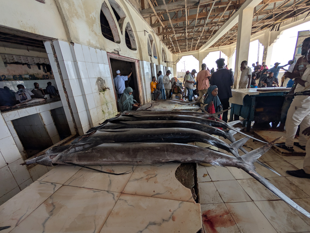 2025 Mogadishu, Fishmarket