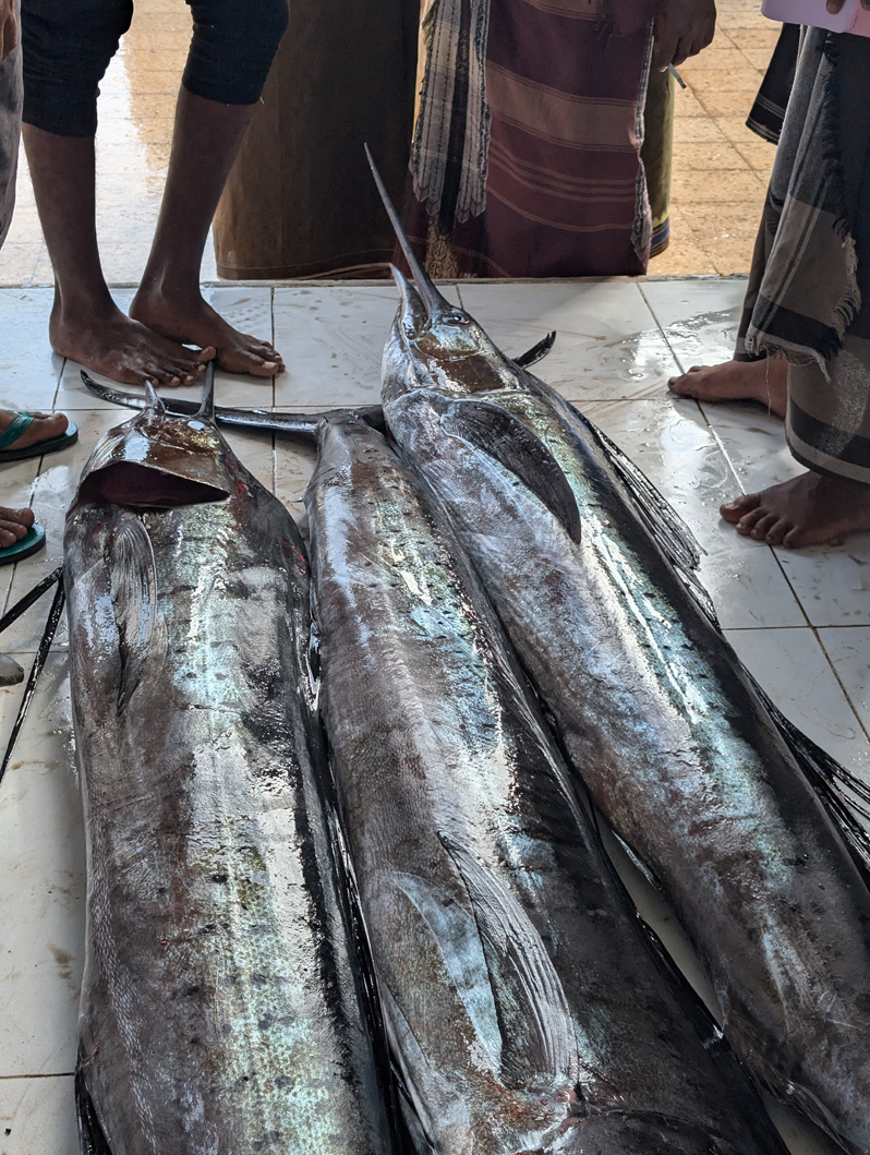 Port of Mukalla, Swordfish