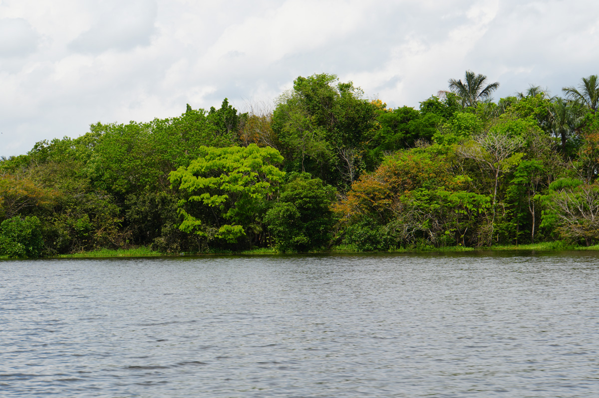 Rio Negro: "Indigenous Village" visit