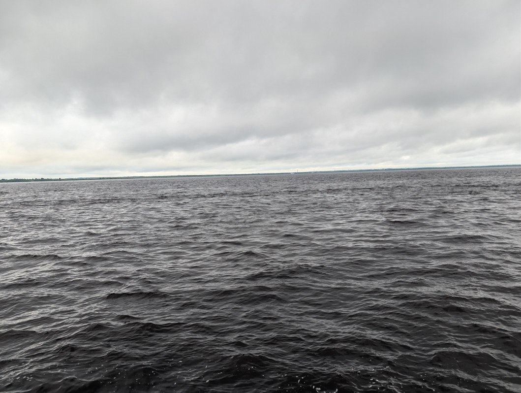 The Amazon, Up the very black Rio Negro