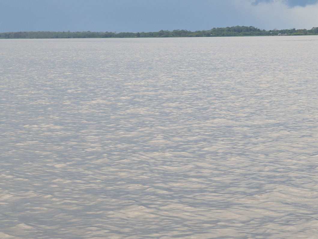 Entering the Amazon, The Mighty Amazon