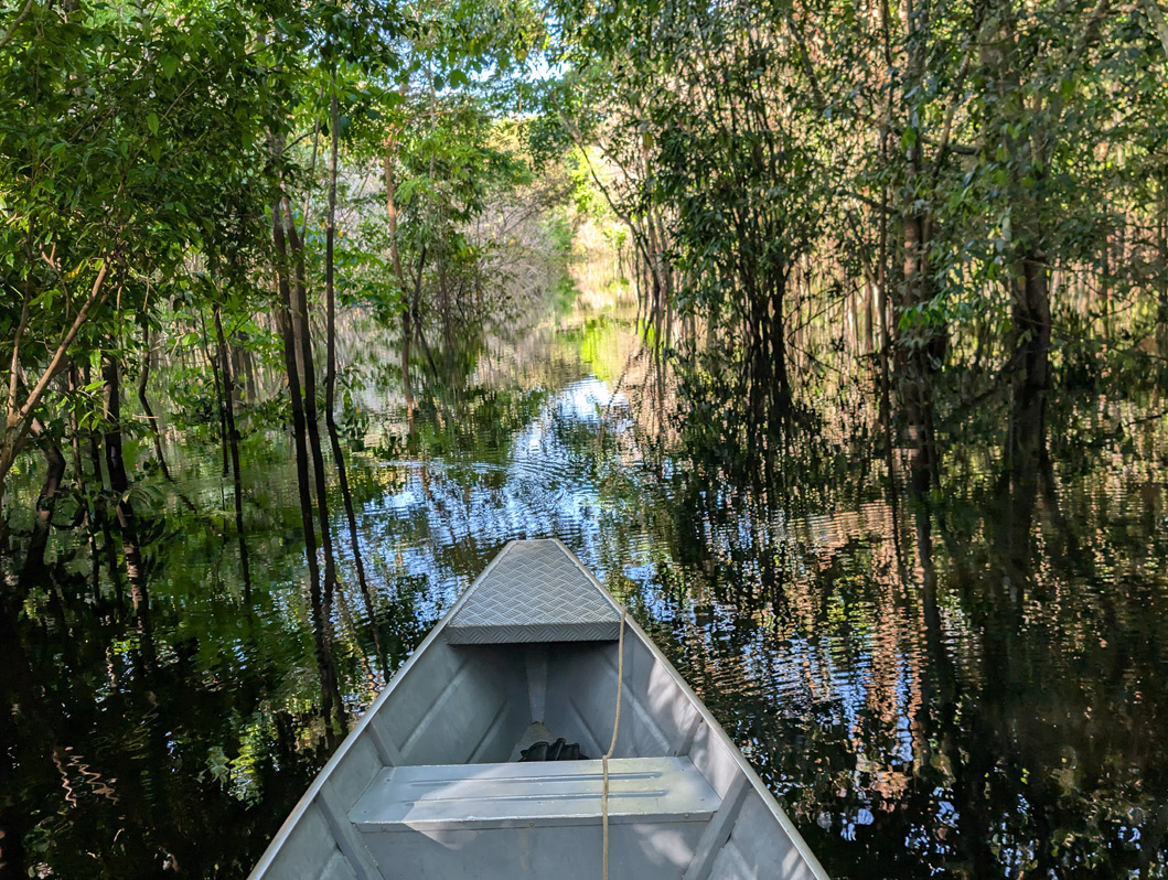 Amazonia: Arowana Lodge, Pushing through the flooded landscape