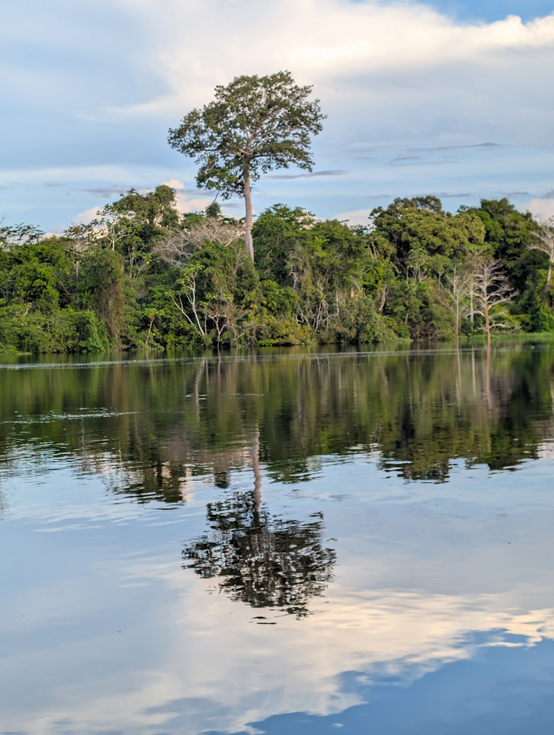 Amazonia: Arowana Lodge