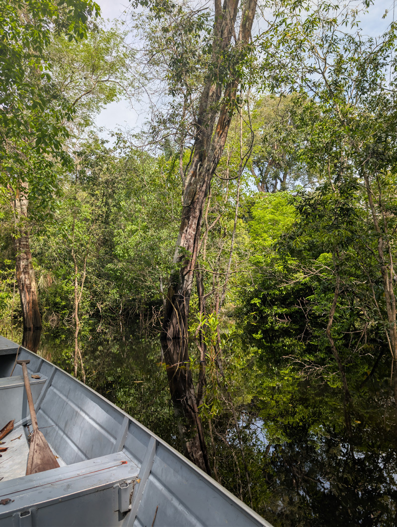 Amazonia: Arowana Lodge