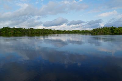 The Amazon, 2026 Brazil