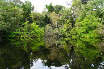 Amazonia: Arowana Lodge, 2026 Brazil