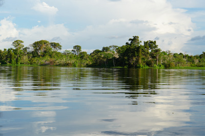 Amazonia: Arowana Lodge, 2026 Brazil