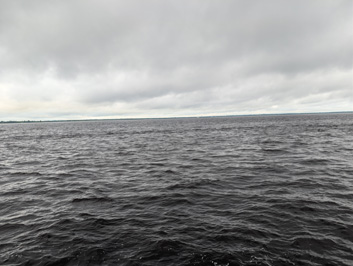 Up the very black Rio Negro, The Amazon, 2026 Brazil