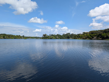 View from Arowana Lodge, Amazonia: Arowana Lodge, 2026 Brazil