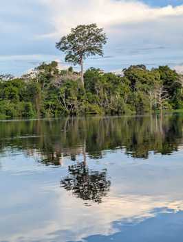 Amazonia: Arowana Lodge, 2026 Brazil