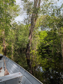 Amazonia: Arowana Lodge, 2026 Brazil
