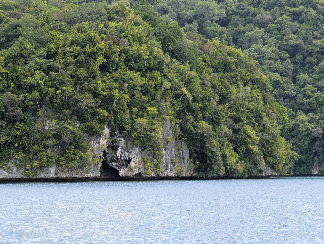Palau: Stone Money Quarry, Limestone outcroppings