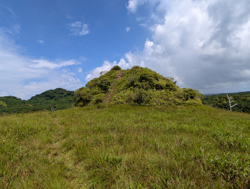 Palau: Around Babeldaob, Ouballang er Ngebedech Terrace Prehistoric terrace, with "crown"