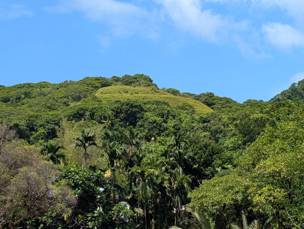 Palau: Around Babeldaob, View to another prehistoric hilltop terrace