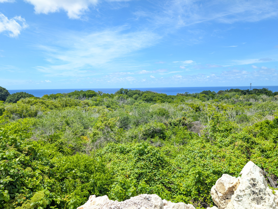 Nauru: Command Ridge, View from Command Ridge