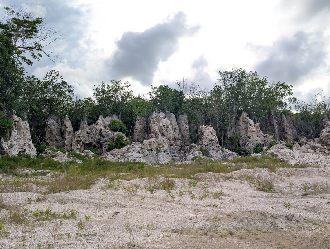 Nauru: Limestone Landscape
