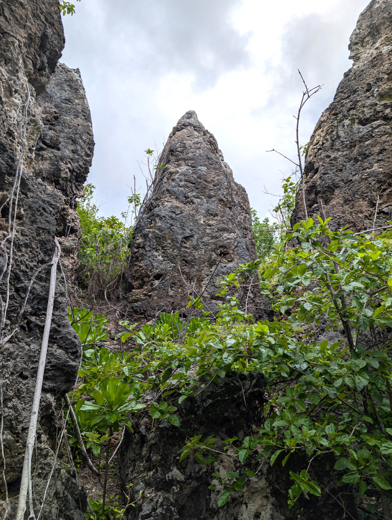 Nauru: WWII Japanese Prison, Limestone spire, near WWII prison