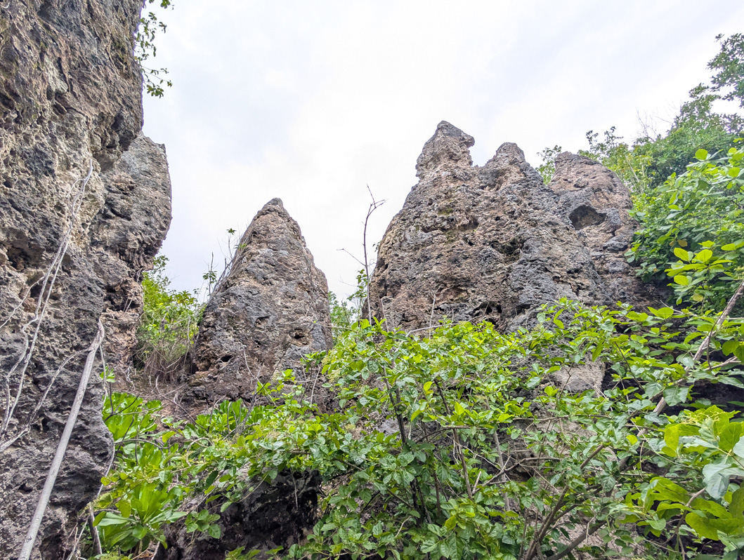 Nauru: WWII Japanese Prison, Natural (?) limestone formations, near WWII prison