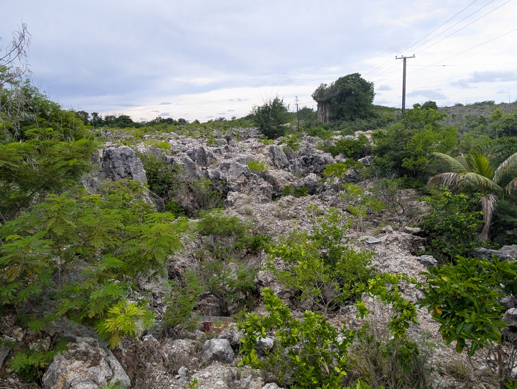 Nauru: Limestone Landscape