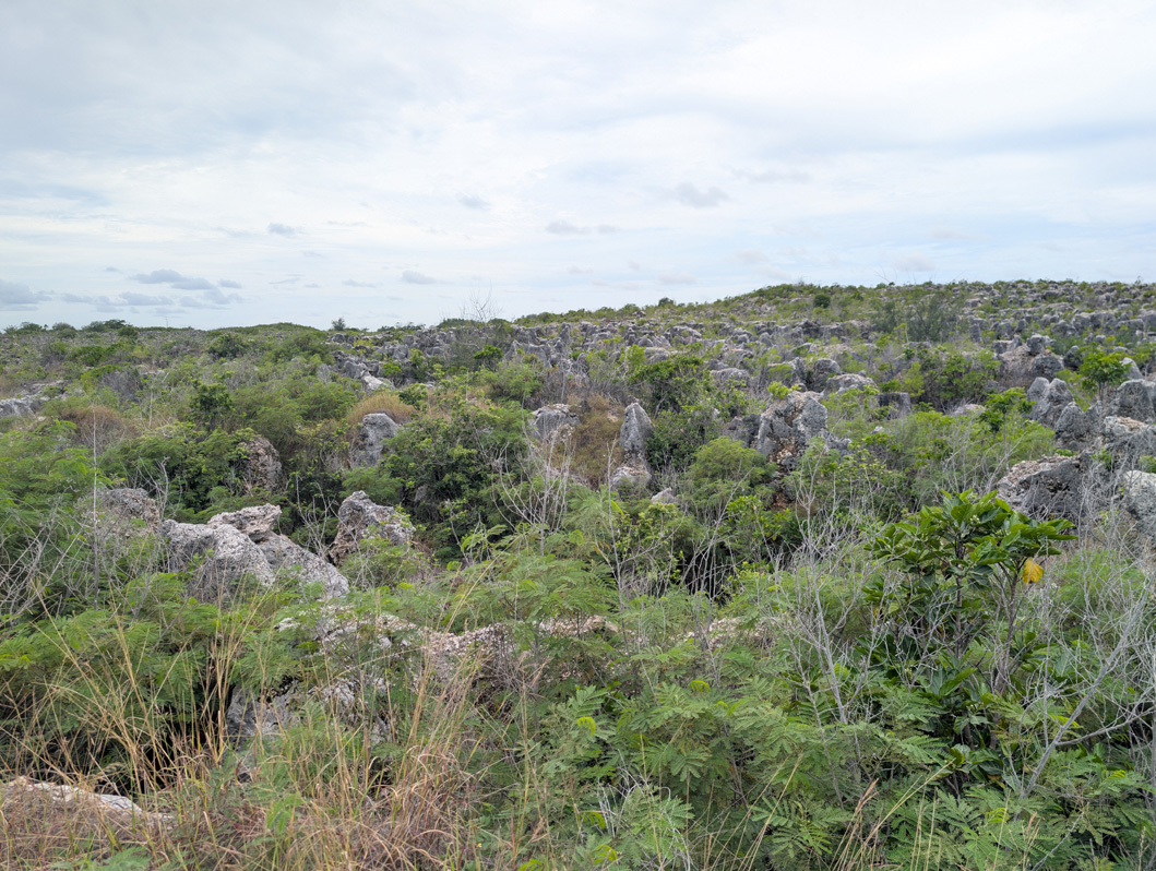 Nauru: Limestone Landscape