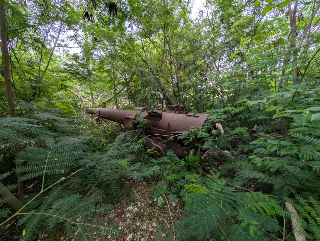 Nauru: Japanese WWII 150 mm Guns, Japanese 150 mm Gun #1 Near Ijuw