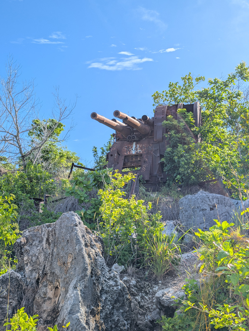 Nauru: Japanese WWII Twin Guns