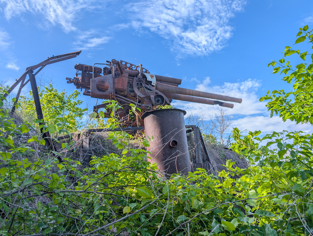 Nauru: Japanese WWII Twin Guns