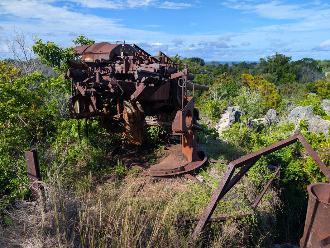 Nauru: Japanese WWII Twin Guns