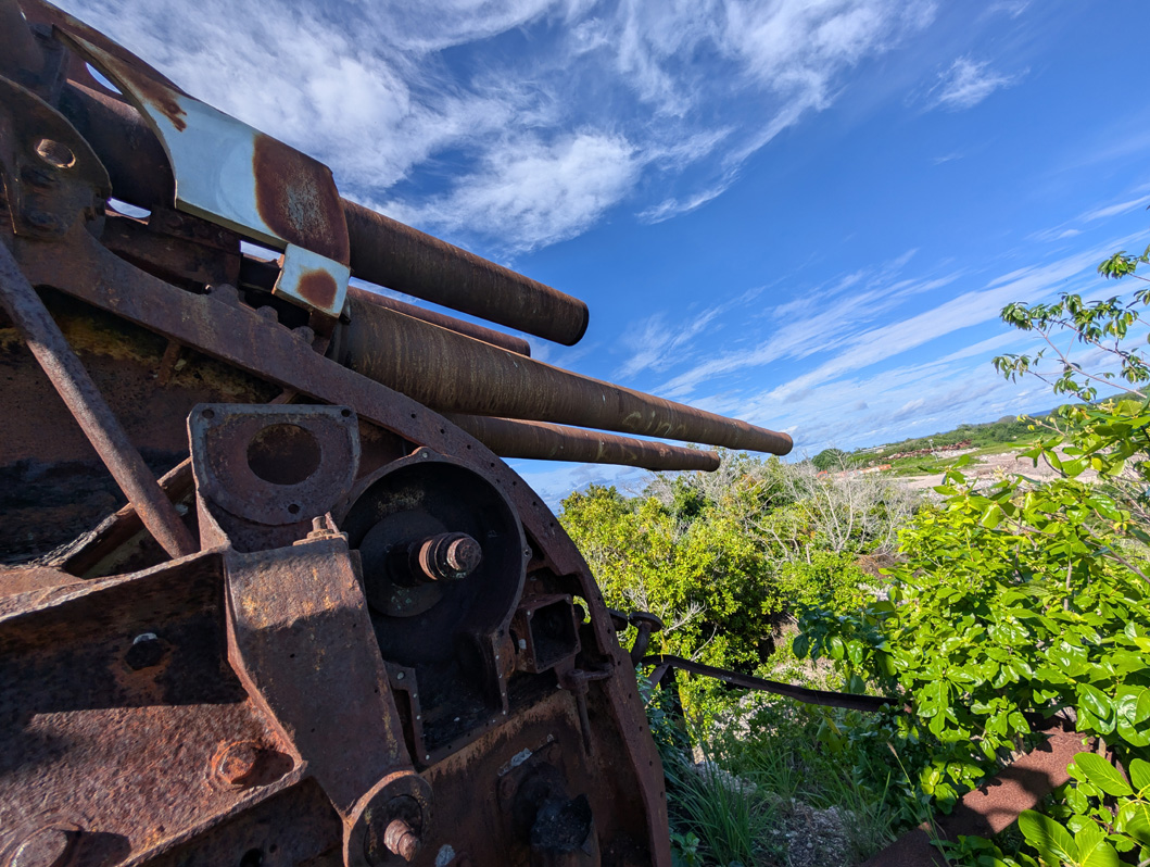 Nauru: Japanese WWII Twin Guns