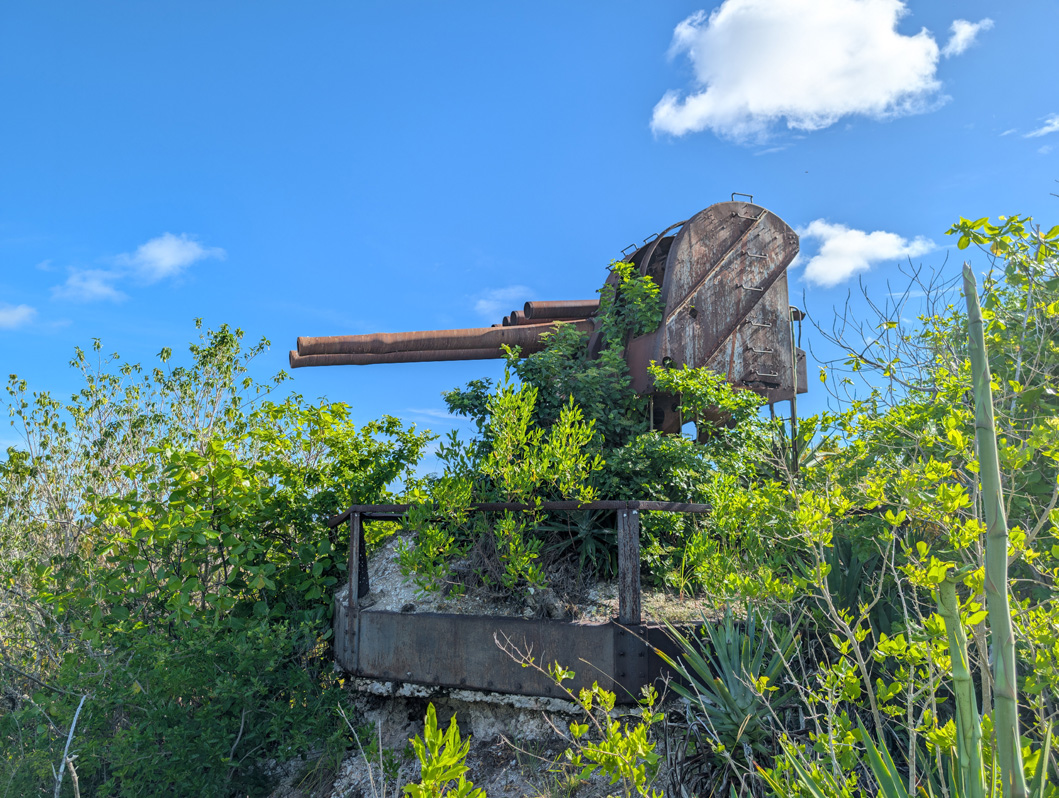 Nauru: Japanese WWII Twin Guns