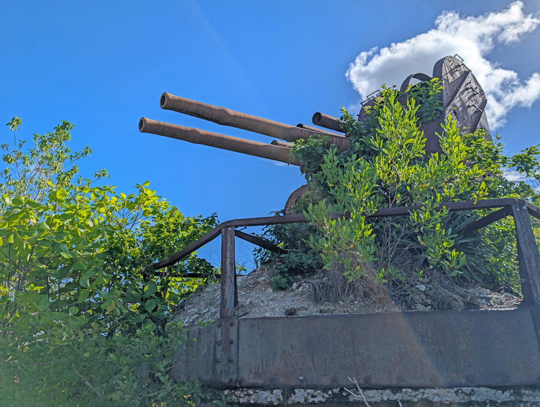 Nauru: Japanese WWII Twin Guns