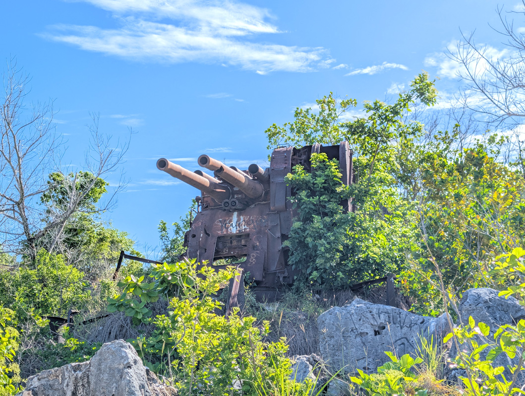 Nauru: Japanese WWII Twin Guns