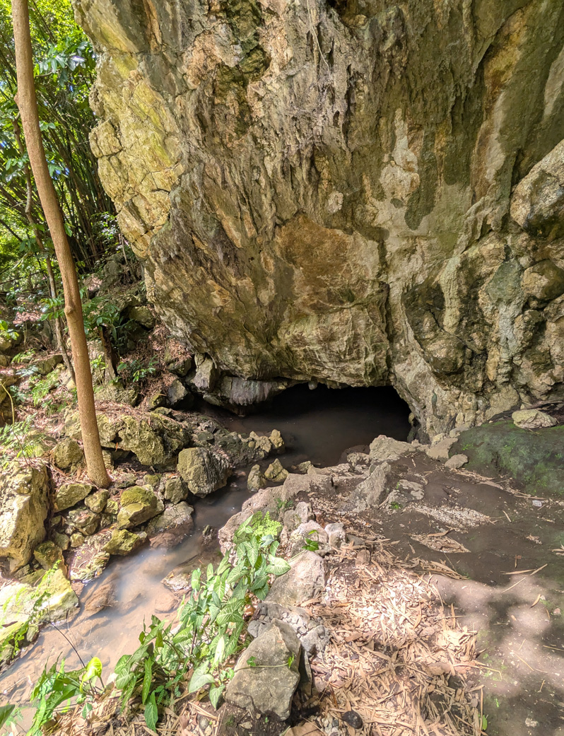 Fiji: "Tour to Cannibal Cave With Lunch", Scrambly path down to cave entrance