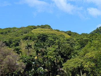 View to another prehistoric hilltop terrace, Palau: Around Babeldaob, 2026 Pacific Islands, Part 1