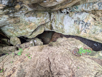 Maqua Cave entrance, Around Nauru, 2026 Pacific Islands, Part 2