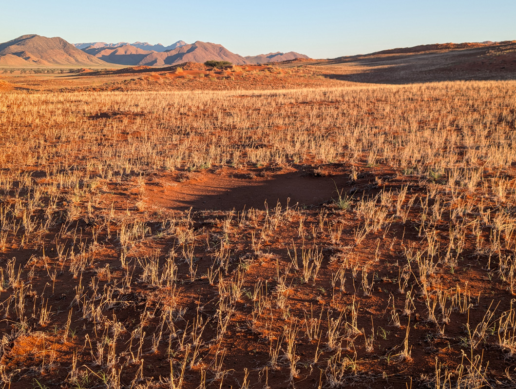Drive to/from Sossusvlei, A Namib Desert "Fairy Circle"