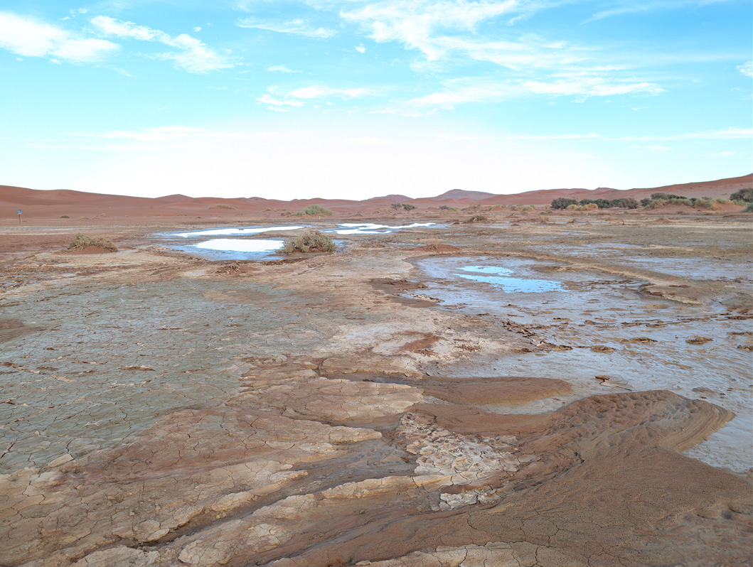 Sossusvlei, Namib Sand Sea.  After weeks of rain