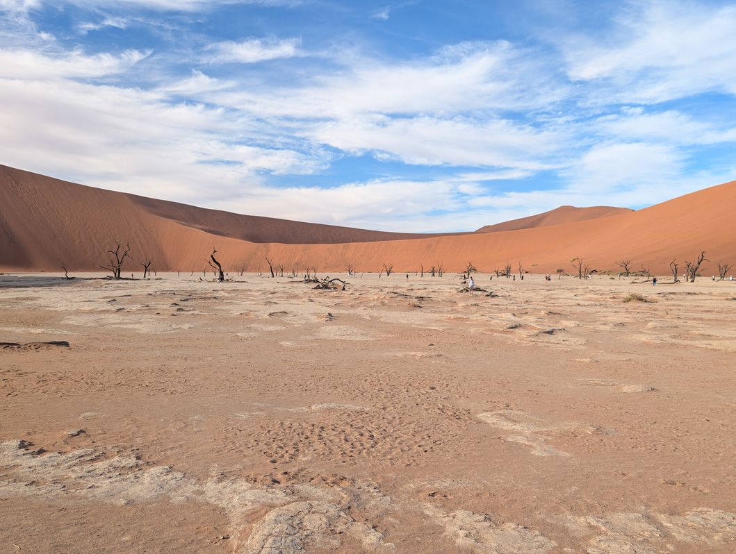 Sossusvlei: Deadvlei