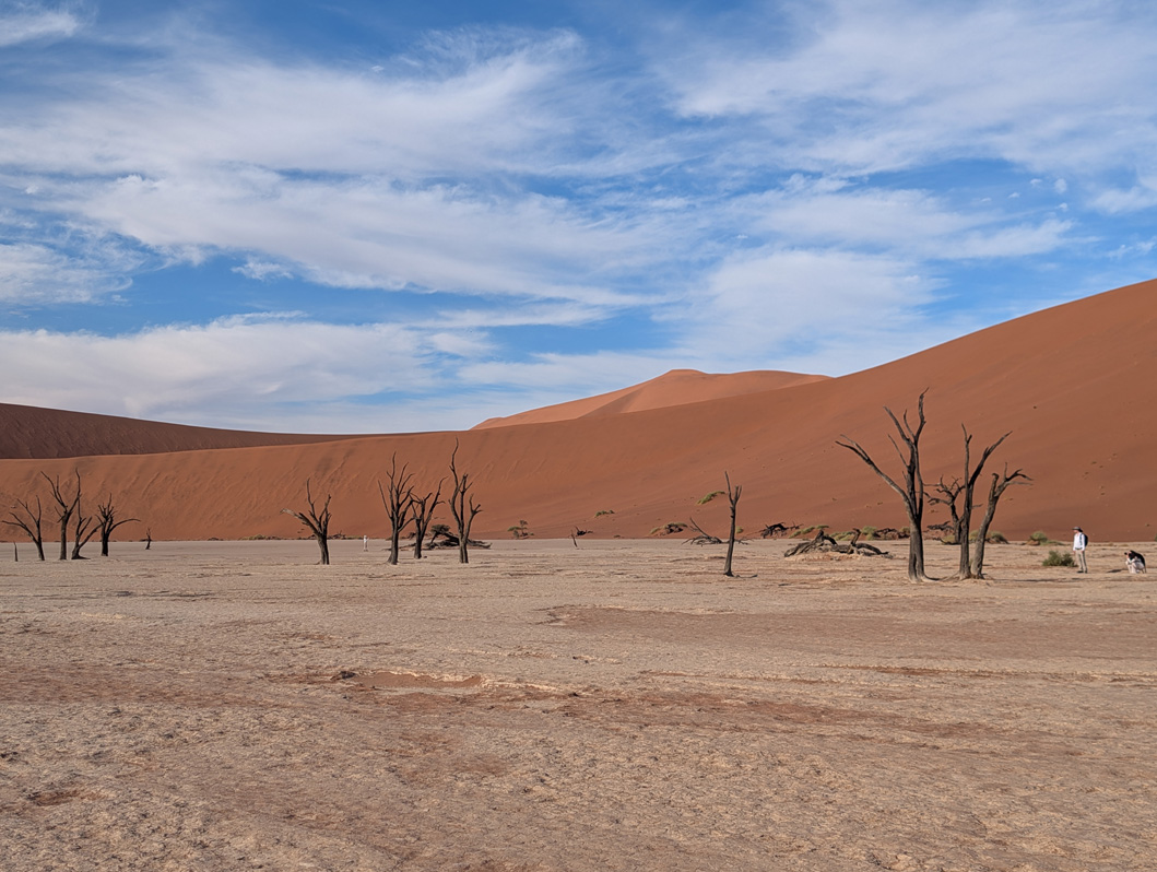 Sossusvlei: Deadvlei