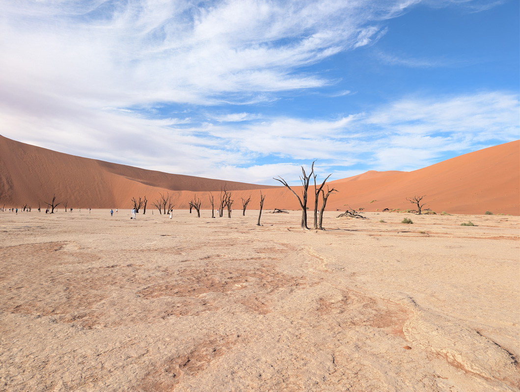Sossusvlei: Deadvlei